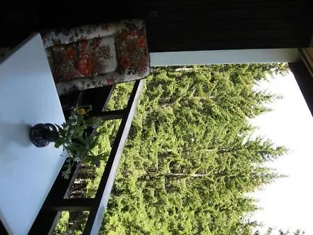 Lejlighed Haus Brueggli B24 *